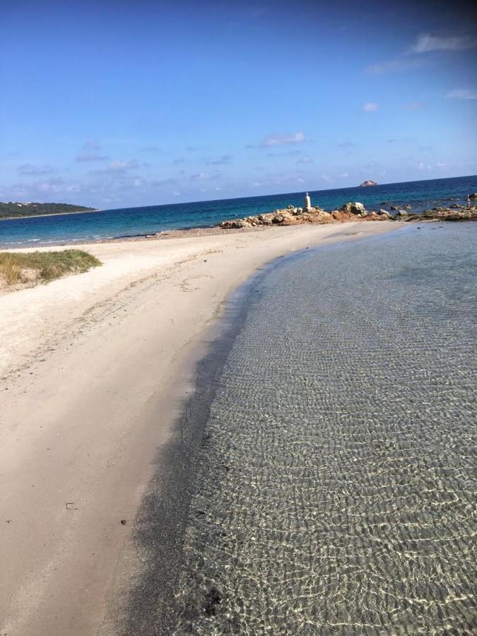 La Corse Les Pieds Dans L'Eau Διαμέρισμα Pinarellu Εξωτερικό φωτογραφία